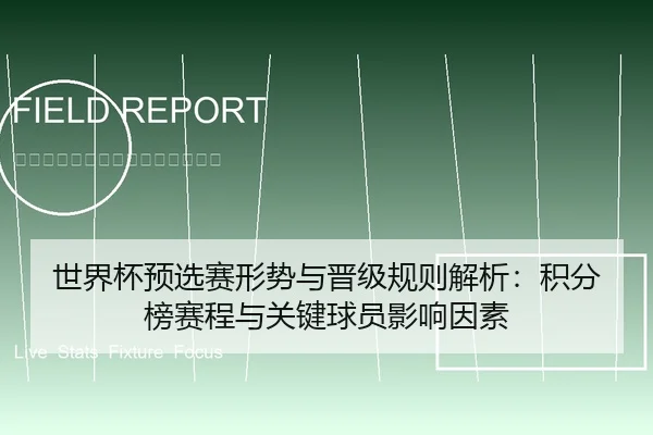 世界杯预选赛形势与晋级规则解析：积分榜赛程与关键球员影响因素